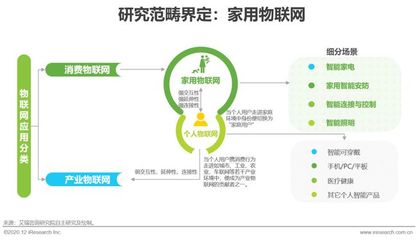 2020年中國家用物聯(lián)網(wǎng)行業(yè)研究報告 物聯(lián)網(wǎng)技術(shù)服務(wù)